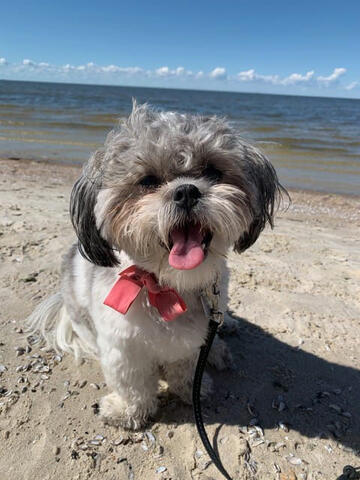 Schichon at the beach